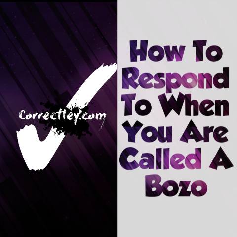 Responses To "Bozo"