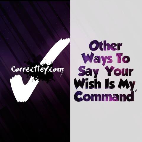 Other Ways To Say ‘Your wish is my command.’