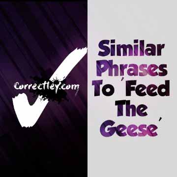 Similar Phrases Like Feed the Geese