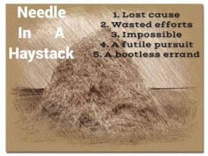 Similar Phrases to Needle in a Haystack