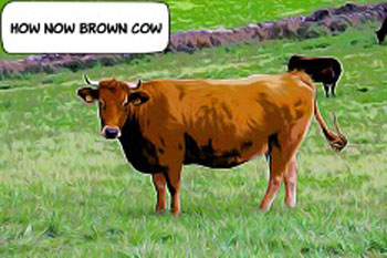 Phrases Like How Now Brown Cow