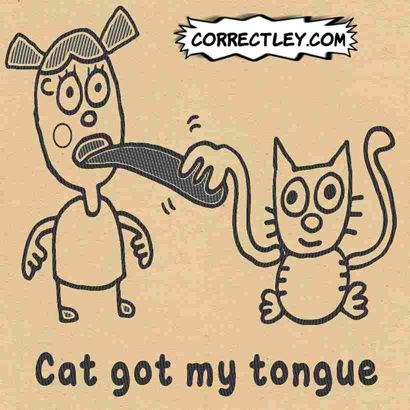 Funny Responses to Cat Got Your Tongue