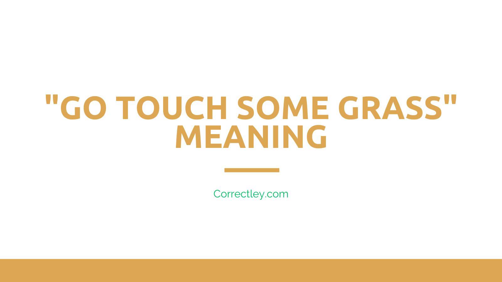 go-touch-some-grass-meaning-correctley