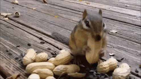 20 Best Say Less GIF