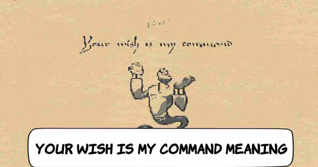 Your Wish Is My Command Meaning