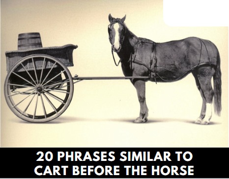 Phrases Similar to Cart Before the Horse