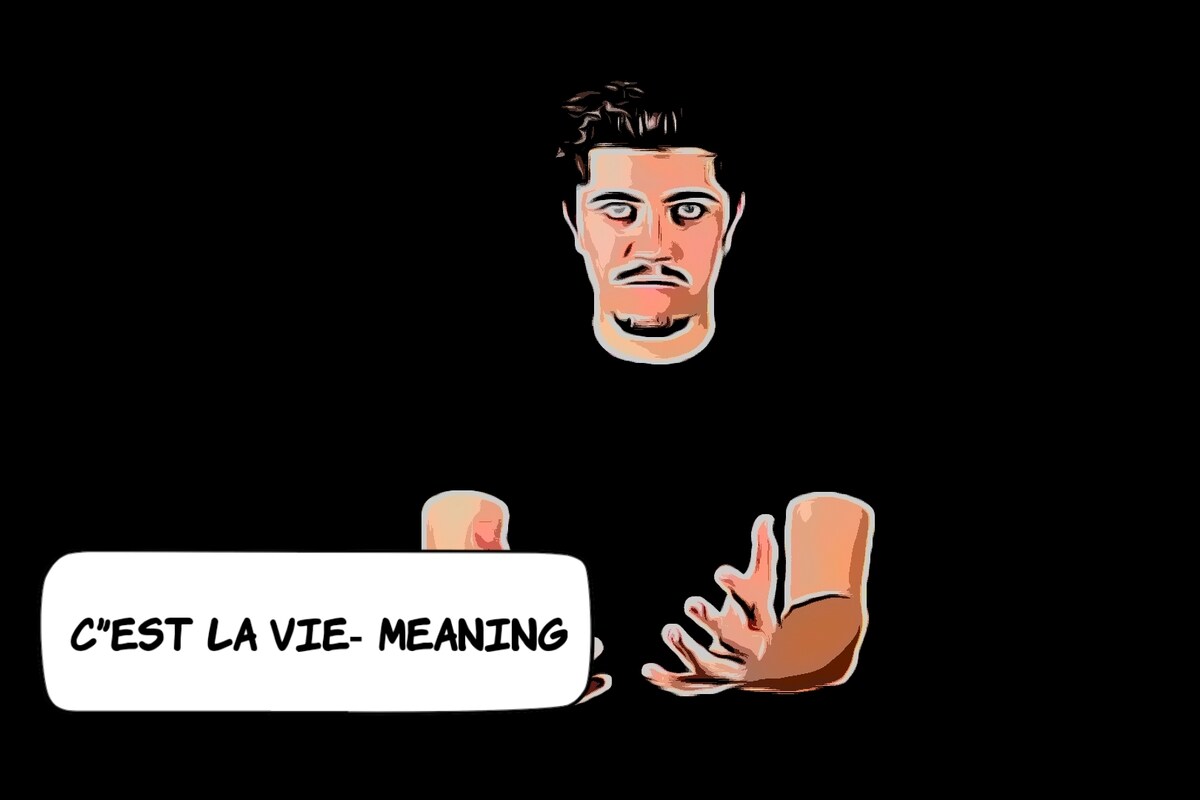 C est La Vie Meaning
