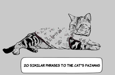 Similar Phrases to the Cat’s Pajamas